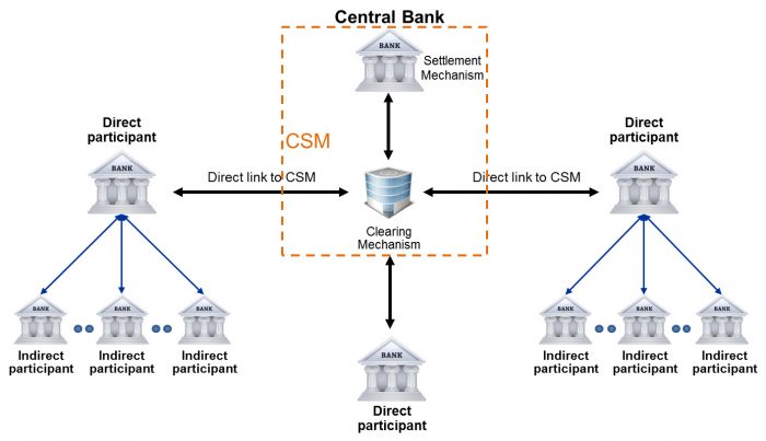 Picture of Direct and Indirect participants to a CSM