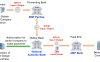 SWIFT MT101 Usage to pay from a subsidiary account MT101 SWIFT Message Usage to pay from subsidiary account