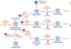 How Corporations use the SWIFT MT101 Request for transfer Different usages of the SWIFT MT101